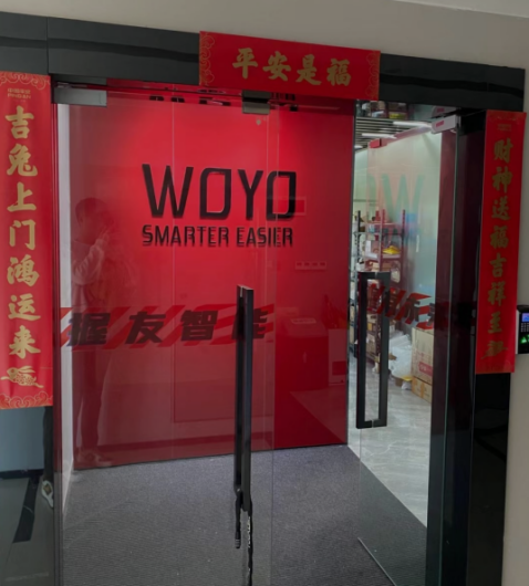 Woyou Intelligent Technology (Shenzhen) - Auto parts manufacturer and supplier