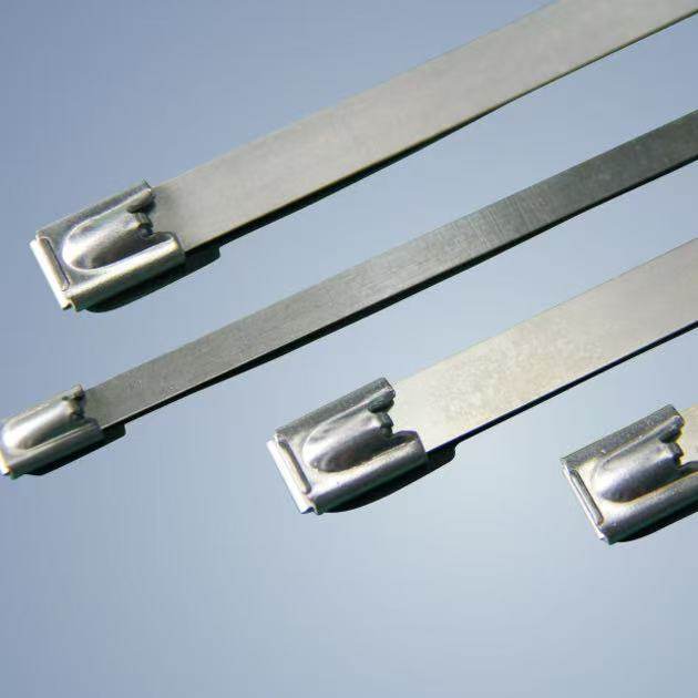 304/316 stainless steel strapping - Auto parts product from Jinxing Electrical Switch Factory
